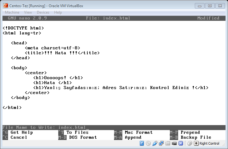 58 Şekil 6.8. Virtual Host Olarak Tanımlanan Dizin Düzenlemesi. Hazırlanan default virtual host için index.html örneği belirtilmiştir (Şekil 6.9).