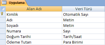 Alan adı alfabetik veya alfa nümerik ise veri türünün metin olarak seçilmesi gerekmektedir. Örneğin alan adı kısmına isim yazdığımızda veri türü olarak metin seçilmesi gibi.