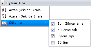 Bcr Açıe Otig[syih N_sh_sc cçch İşf_g G_çgcşc R[jiruhu Görühtüf_g_ 6. (İsteğe bağlı) Ürünün hangi sütunları görüntüleyeceğini tanımlayın: a.