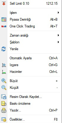 1.4. Grafikler Ekranınız da açık olan ya da birden fazla grafik açık ise seçili olan grafik için üzerinde yaptığınız çalışmaları, grafiğin temel özelliklerini ve yeni işlevler eklemeniz için