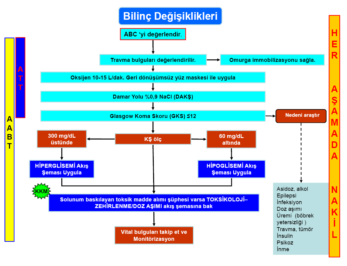 referans hastanelerinin acil servislerine doğrudan başvurmak yerine sağlık