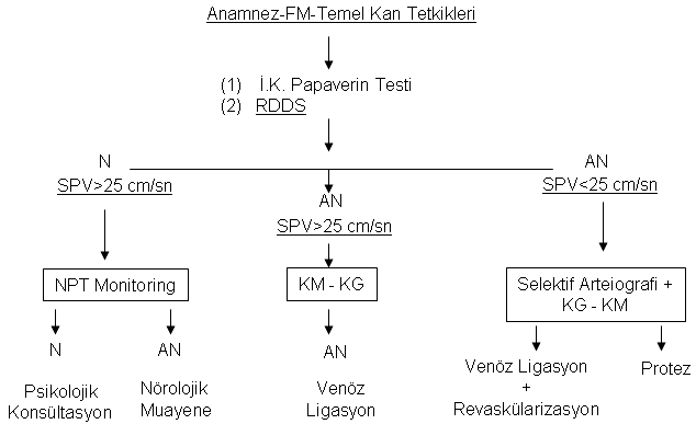 değerlendirilmesinde de KM-KG standart yöntemler olarak kabul edilmektedir. Ancak her iki yöntemde invazif yöntemlerdir.