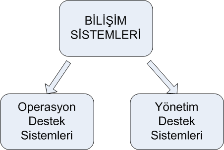 Bilişim Sistemlerinin Sınıflandırılması İş Organizasyonlarında BT yaptıkları işleve Ve rollerine göre iki gruba ayrılır; 1.