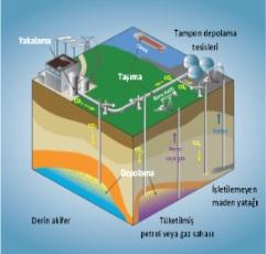 CO2 rezervuardan sızabilir mi, sızarsa sonuçları neler olabilir?.....................................12 5. Depolama sahalarını yüzeyde ve yeraltında nasıl izleriz?.............................................14 6.