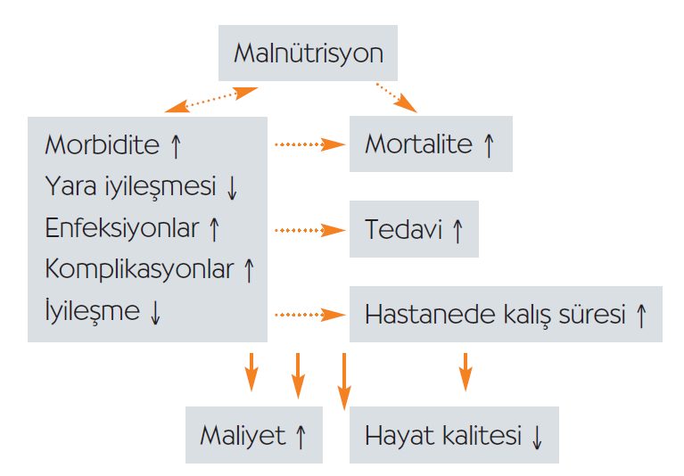 MALNÜTRİSYONUN ETKİLERİ Yağsız vücut kitlesinde azalmaya 1,2 Yara iyileşmesinde gecikmeye 1 Yaşam kalitesinde düşüşe 3 Morbidite ve mortalitede artışa 1,3 Hastanede kalış süresinde uzamaya 1 Tedavi