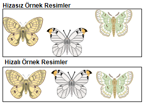 Böylece seçim içerisinde kalan tüm resimler, tek bir resim parçasına dönüştürülmüş olur.