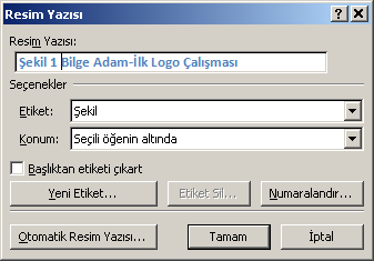 Resim Yazı Etiketi: Denklem, Şekil, Tablo gibi nesnelerin etiket türünün seçilerek listelenmesine yardımcı olur.