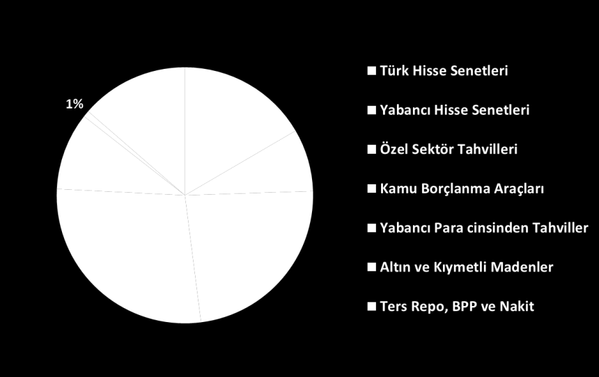 HSBC Portföy Çoklu Varlık Dinamik Değişken Fon (Üçüncü Değişken) 31 Temmuz 2015 Fon Hedefi ve Yatırım Politikası Fon Kodu: HOA Fon, ağırlıklı Türk Lirası cinsinden varlıklar olmak üzere çeşitli