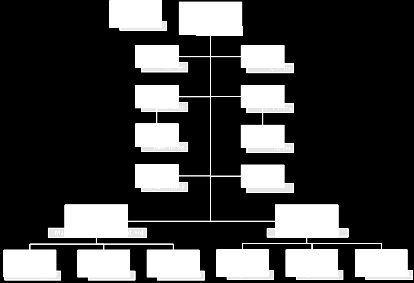 Organizasyon Yapısı (31.01.