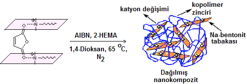 P146 Poli(2-Hidroksietil Metakrilat-co-Maleik Anhidrit)/Organo- Sodyum-Bentonit Nanokompozitlerinin Sentezi ve Patojen Bakterilere Karşı Etkileri Elif UZLUK*, Muzaffer TALU *Gazi Üniversitesi, Fen