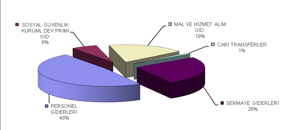 ĠSTANBUL TEKNĠK ÜNĠVERSĠTESĠ 2008 Yılı Ekonomik Ġcmal 2008 Yılı Ekonomik Bazda BaĢlangıç Ödeneklerinin Dağılımı Toplamda 175.640.