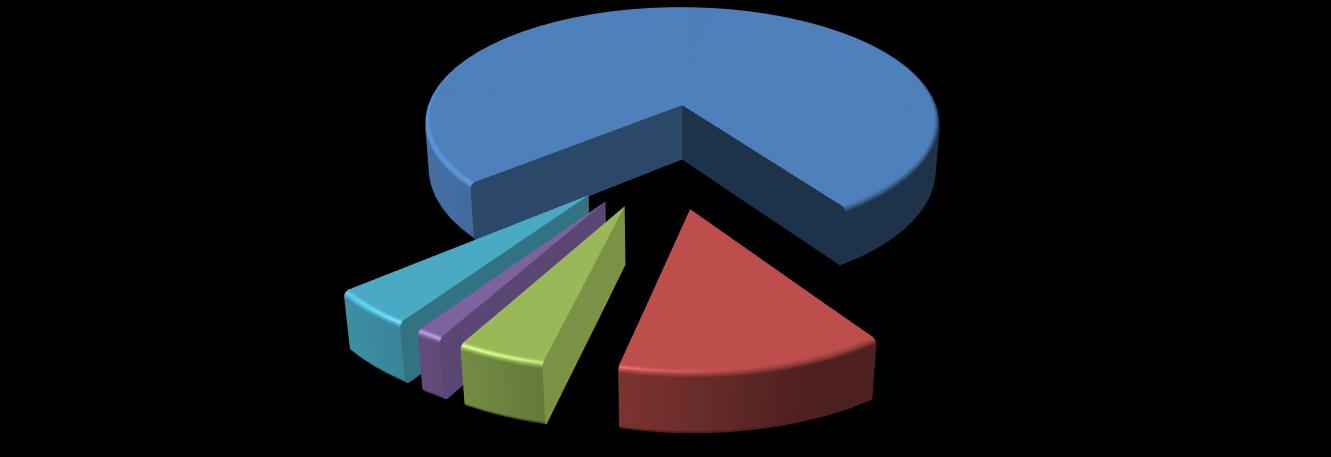 Grafik 1-2014 Yılı Ödeneklerin Dağılımı DİYANET İŞLERİ BAŞKANLIĞI 2014 YILI BÜTÇESİ ÖDENEKLERİN DAĞILIMI Personel Giderleri; 4.384.440.030 TL.; 76,51% Mal ve Hizmet Alım Giderleri; 253.783.000 TL.