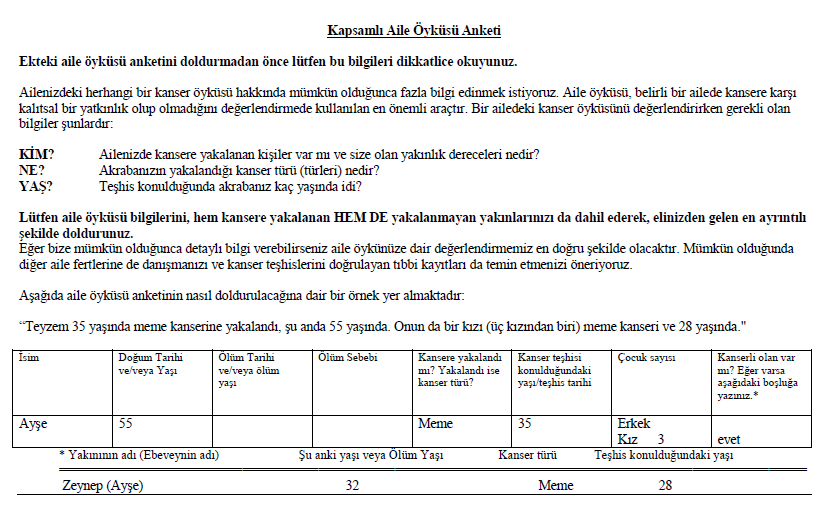 KİŞİSELLEŞTİRİLMİŞ RİSK ANALİZİ