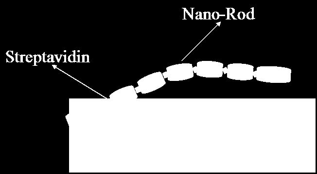 Assembly of Nanoscale Plasmonic Structures M.