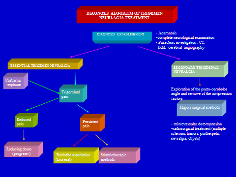 The end result of the research was to develop a complex and original algorithm of