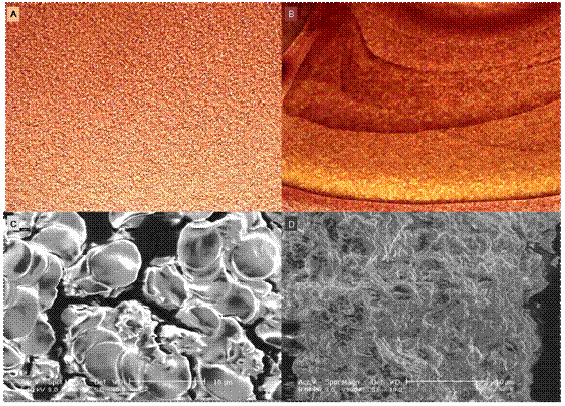 elektron mikroskopik görünümü resim 3.14 de gösterilmiştir. Resim 2.14 Plazma örneği.