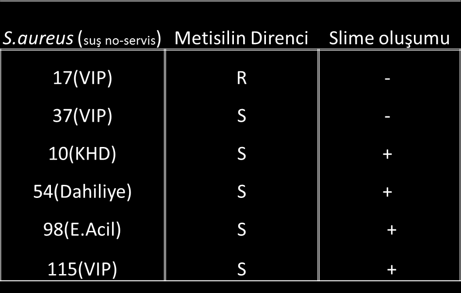 Şekil 2: üreyen mikroorganizmaların yüzdeleri Bu 116 örnekte S.aureus prevalansı %5.17(6 kişi) olarak belirlendi.s.aureus burun taşıyıcılığı saptanan kişilerin 1 i(%17)metisiline dirençli, 5 i (%83)metisiline duyarlı bulundu.