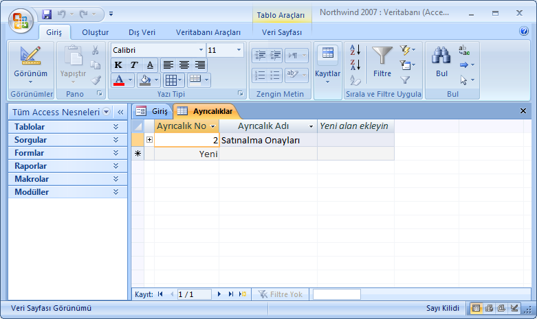 Şekil 1.2: Veri tabanı programı arayüzü Veritabanı programı da diğer tüm programlarda olduğu gibi birtakım nesnelerden meydana gelmektedir.