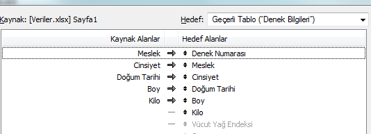 Pencerede Hedef Alanlar başlığının altındakiler bizim veritabanında açtığımız alanlarken, sol taraftaki Kaynak Alanlar başlığının altında bulunanlar Excel belgesindeki verileri ifade etmektedir.