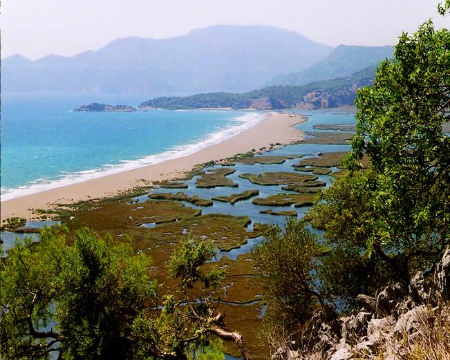 sayısız koy bulunmaktadır.