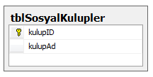 Bu hatayı engellemek için Column Propeties(sütun özellikleri) penceresinde General sekmesi altında yer alan Default Value or Binding değerine 0 yazıyoruz.