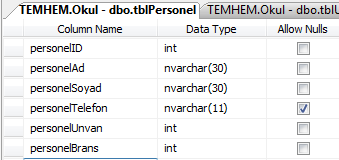 Personelin ad, soyad, telefon numarası, unvan ve branş bilgilerini tutacak alanları tanımlayalım. Tablomuzu tblpersonel adında kaydedelim.