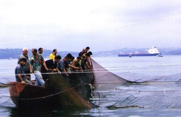 Boğaz da Son Dalyana Ziyaret TÜDAV 2001 yılı Mayıs ayında basın üyelerini de davet ederek gönüllülerle birlikte İstanbul Boğazında Beykoz da bulunan son dalyana bir ziyaret düzenlemiştir.