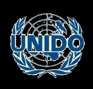 UNIDO EKO-VERĠMLĠLĠK PROGRAMI Proje Ekibi: Yürütücü