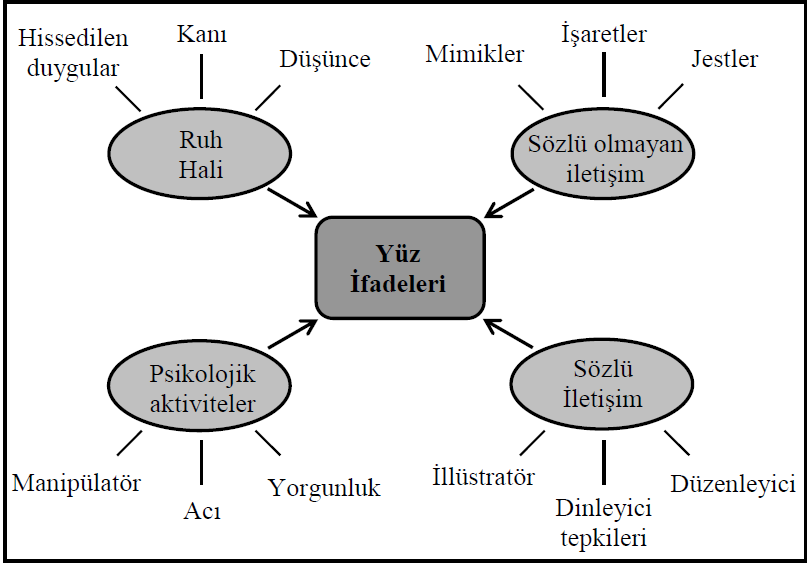 1. BÖLÜM GİRİŞ Yüz ifadeleri insanlar arası etkileşimde sözel olmayan kanallardır.