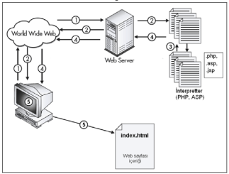 Şekil 1: Web sunucusundan bir web sayfası isteme adımları 1. İstemci bilgisayar, www aracılığı ile web sunucusundan bir sayfa çağırır. 2.