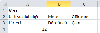 Formül Açıklama Sonuç =BİRLEŞTİR(A2; " "; A3; " için "; nehir yoğunluğu"; A4;"/m") =BİRLEŞTİR(B2; " "; C2) =BİRLEŞTİR(C2; ", "; B2) =BİRLEŞTİR(B3; " & "; C3) A sütunundaki verilerin başka metinlerle