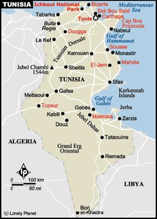 Yatırım Maliyeti Örnek:Tunus, Jradou Merkezi (2007) Jradou Merkezi Toplam kapasite: 70.000 t/yıl Toplam yatırım maliyeti: 16.5 Mio.