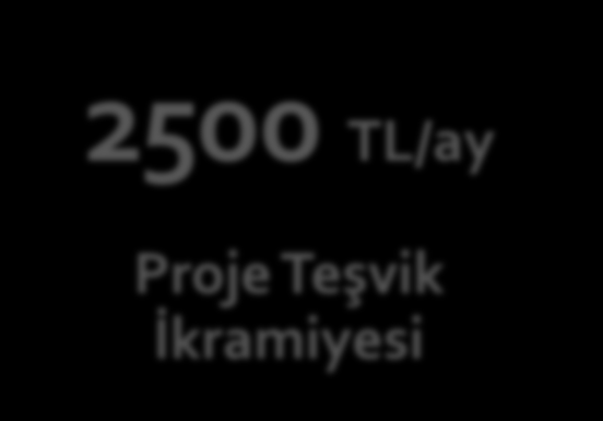 1003 Öncelikli Alanlar Ar-Ge Projeleri Destek Programı Üniversite Doktora Derecesi Kamu/Özel Kuruluş Lisans Mezunu 2500 TL/ay Destek Süresi Küçük Ölçek 24 ay Orta/Büyük Ölçek 36 ay Destek Miktarı