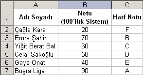 Adı Soyadı, İlk Yardım, Trafik ve Motor notları doğrudan klavyeden girilir.