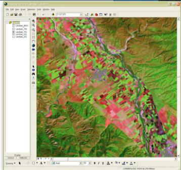 ArcGIS Image Server ArcGIS Image Server, dosya-bazlı imajların yönetimini,