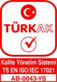 YÖNETİMİ BAŞ DENETÇİ