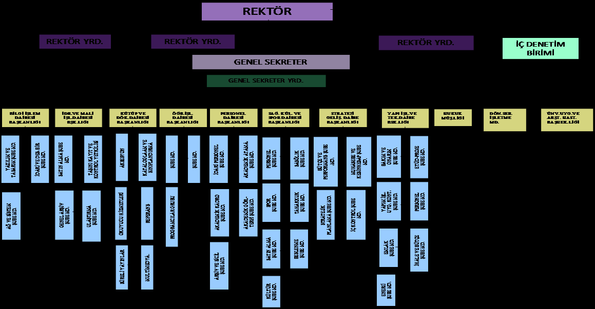 1.2.2. Gazi Üniversitesi İdari