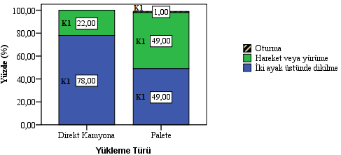 işgörenlerin iki kolu, omuz hizasının altında çıkmıştır. Direkt kamyona yüklemede, gözlemlerin %78 inde duruşlar iki ayaküstünde ve %22 sinde yürür durumdadır.