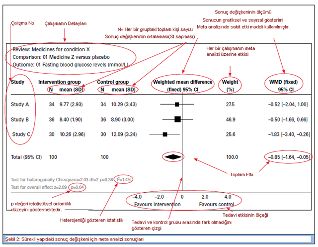 Standart bir Forest Plot