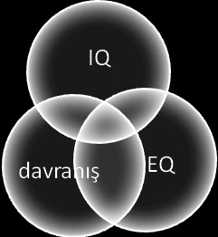 Yapılan çalışmalar duygusal zekânın (EQ), insanların kişisel ve mesleki anlamda başarılı olmalarını akıl zekâsından daha fazla etkilediğini göstermektedir.