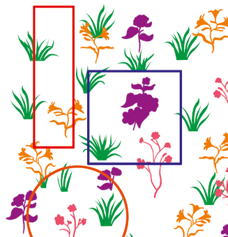 Örnek alan, kare, dikdörtgen ya da daire şeklinde olabilir. Kare örnek alan, genelde vejetasyonda yer alan bitkilerin yoğunluğunu tahmin etmek için kullanılır.