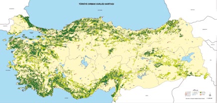 OGM Bilgi Sistemleri Dairesi Başkanlığı Coğrafi Bilgi Sistemleri Şube Müdürlüğü Türkiye Orman Varlığı Haritası CBS, bir tür