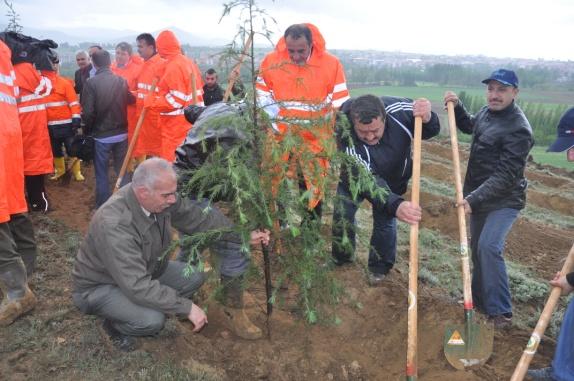 SOMAMADEN ŞEHİTLERİ HATIRA ORMANI OLUŞTURULDU Kelkit Kilise Burnu mevkisinde 400 dönümlük bir alanda Soma Maden Şehitleri Ormanı oluşturuldu.