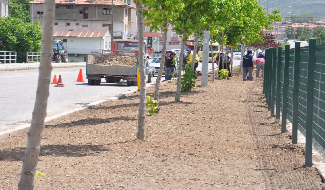 Bir ilçedeki yeşil alan sayısının fazla olmasının o ilçenin gelişmişlik göstergelerinden biridir. Bu yıl itibariyle ekiplerimizle yaklaşık olarak 4.500 adet ağaç dikimi yaptık.