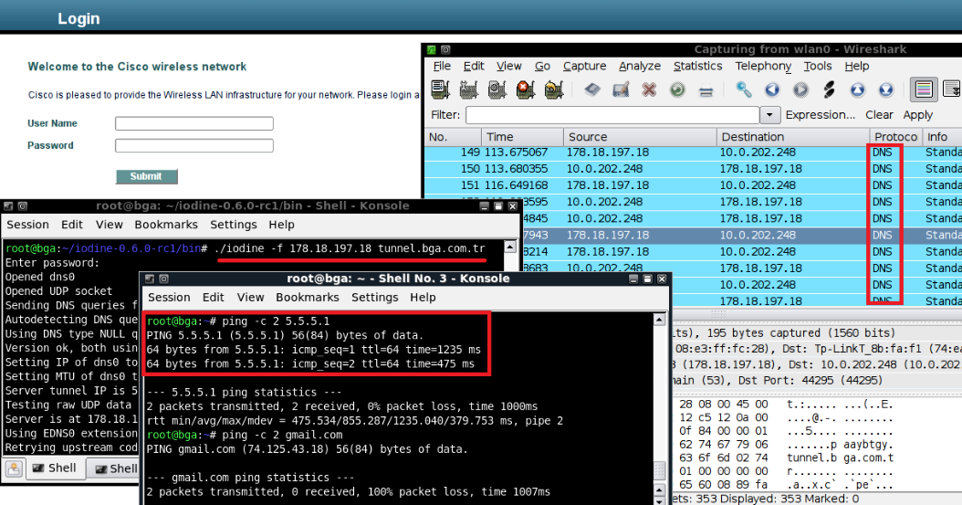 Atlatma Teknikleri DNS