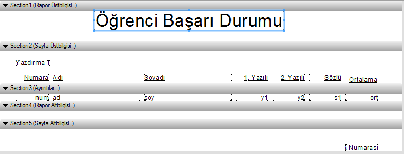 Resim 1.16: Düzenlenmiş rapor ekranı 1.4. Rapor Dosyasına Text Object Eklemek Raporlar genelde bir konu ya da olayla ilgili yapılan inceleme sonucunu tespit edip bilgilendiren yazılardır.