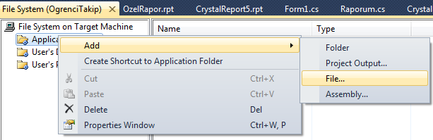 Resim 2.8: PrimaryOutput Application Folder klasörünün içerisinde programa ait exe, dll gibi dosyalar tutulmaktadır. Kısaca programın çalışması için gerekli bütün dosyalar bu klasörde saklanır.