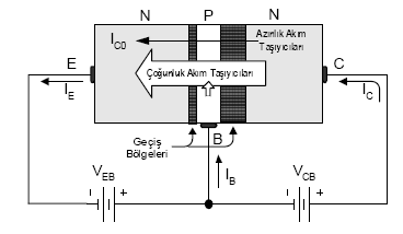 Transistörün nasıl çalıştığını anlamak amacıyla yukarıda iki kademede anlatılan olayları birleştirelim. Şekil 1.6 da NPN tipi bir transistöre polarma gerilimleri birlikte uygulanmıştır.