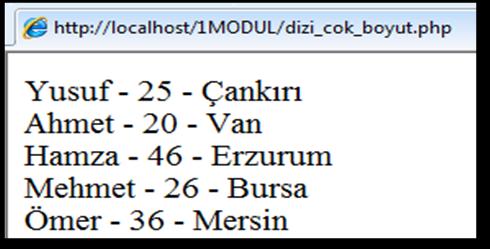 Örnek1: Tek boyutlu dizide kullandığımız elemanlara aşağıdaki tabloyu kullanarak yaş ve memleket bilgilerini ekleyelim. Bu sayede dizimiz çok boyutlu (isim, yaş, memleket) hâle gelmiş olacak.