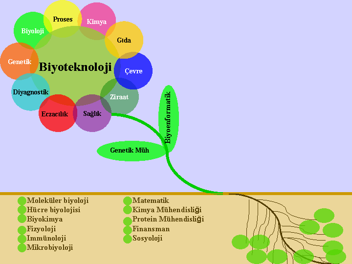 TARIMSAL BİYOTEKNOLOJİDE ETİK VE MEVZUATLAR Hiç kuşkusuz son yıllarda tarımsal alandaki en büyük gelişme 20.